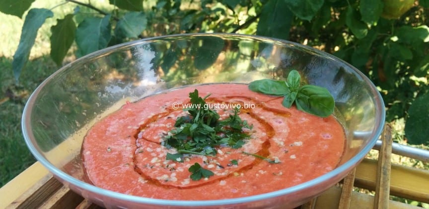 Gazpacho pom blogimage