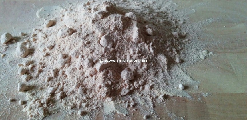 LUCUMA blogimage