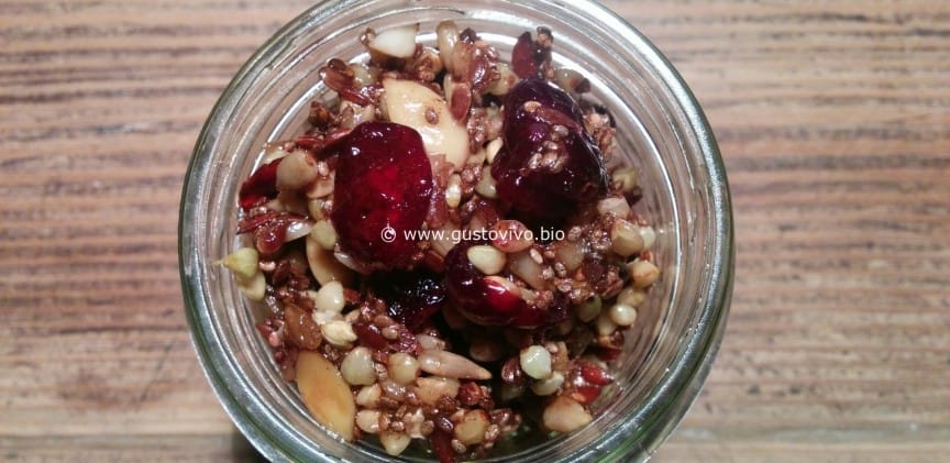 muesli croccante fruttato blogimage